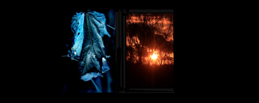 Kalevala lehti ja auringonlasku