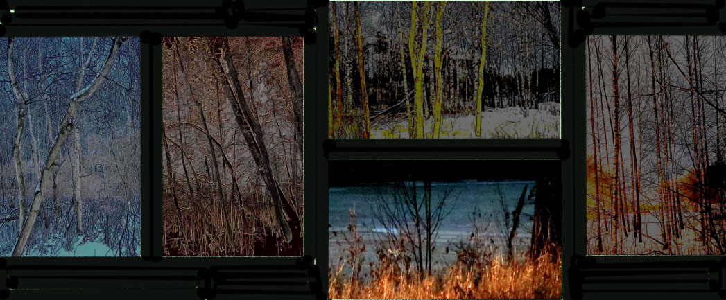 Yön metsän viisi kuvaa 