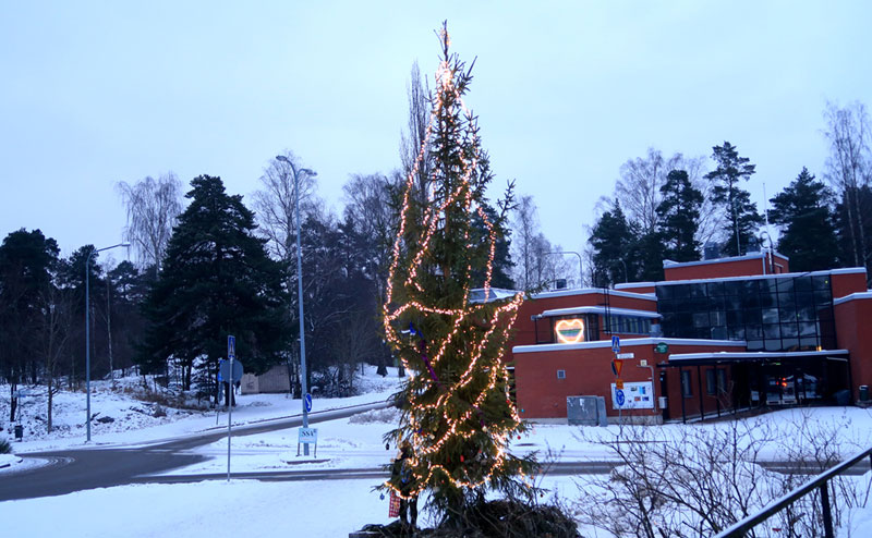 Pihlajanmäen joulukuusi