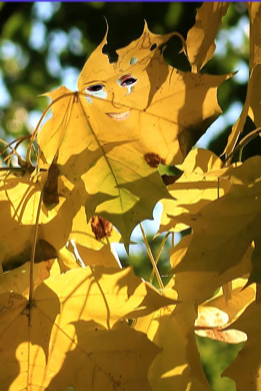 syys koskettava